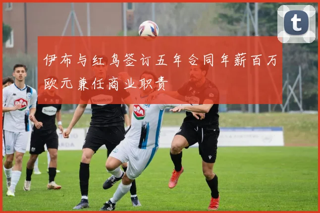 伊布与红鸟签订五年合同年薪百万欧元兼任商业职责