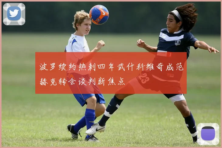 波罗续约热刺四年武什科维奇成范赫克转会谈判新焦点