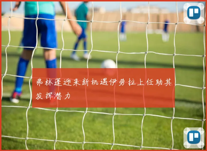 弗林蓬迎来新机遇伊劳拉上任助其发挥潜力